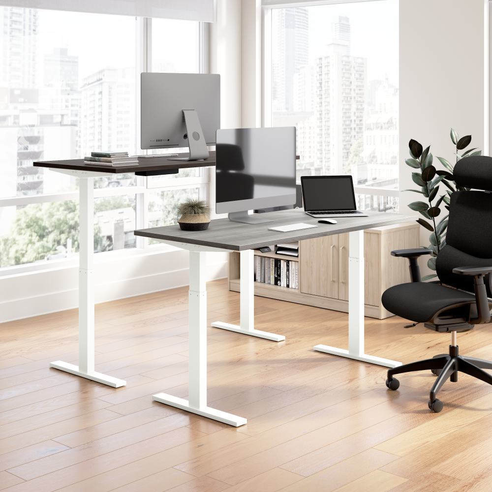 60W x 30D Height Adjustable Standing Desk