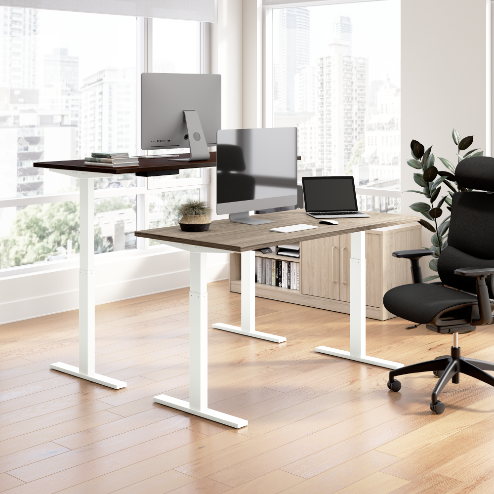 60W x 30D Height Adjustable Standing Desk