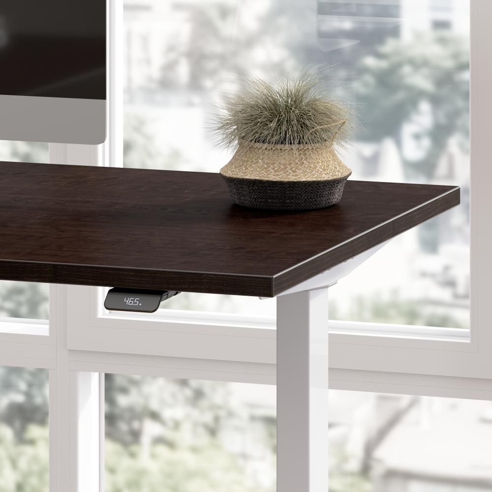 Move 60 Series 60W x 30D Electric Height Adjustable Standing Desk