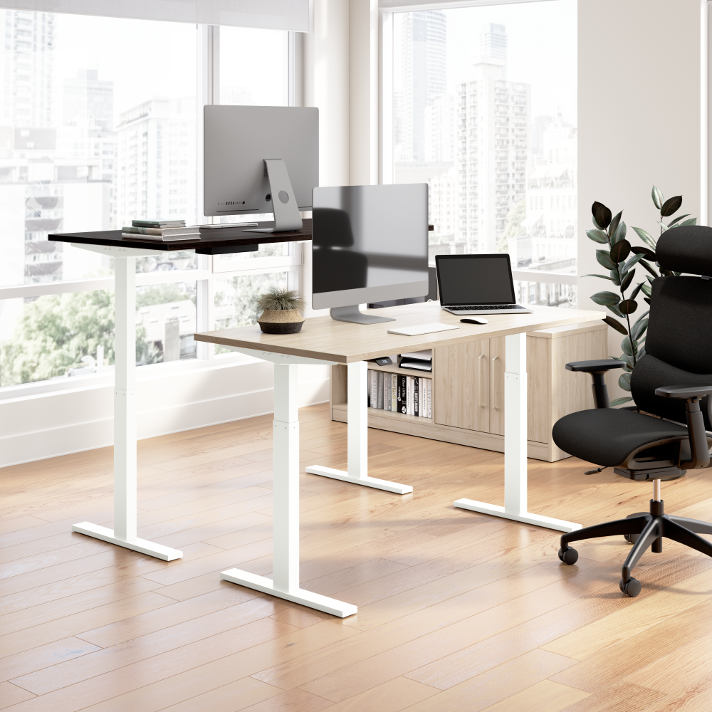 60W x 30D Height Adjustable Standing Desk