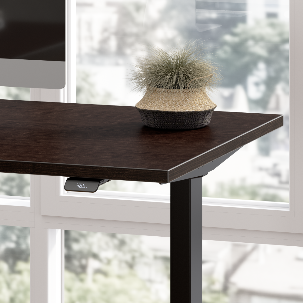 60W x 30D Height Adjustable Standing Desk